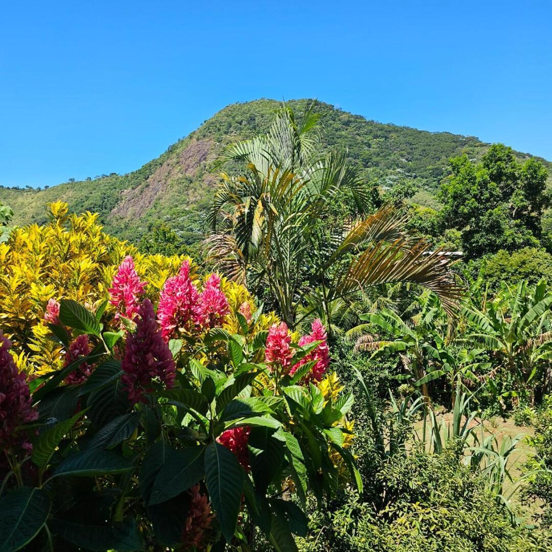 Casa Tia Rosa Hospedagem Familiar Guapimirim Eksteriør bilde